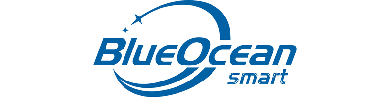 Blue Ocean logo